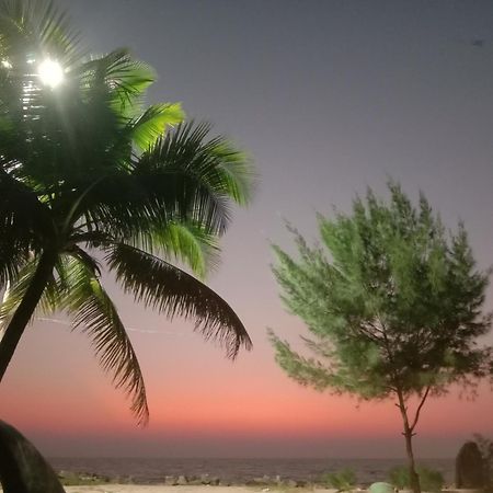 Angeo Beach House Alappuzha المظهر الخارجي الصورة