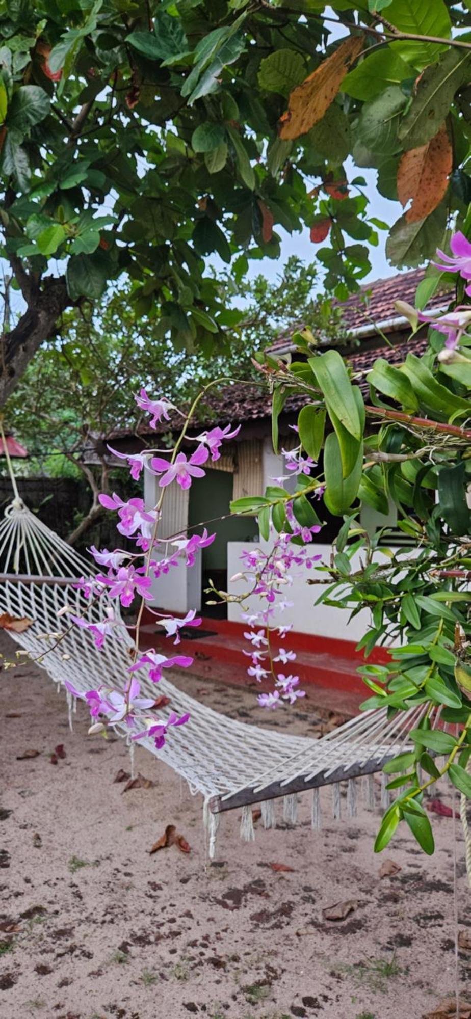 Angeo Beach House Alappuzha المظهر الخارجي الصورة